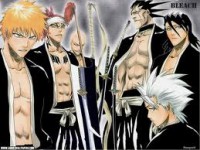 24 - Raduno! Il Gotei 13